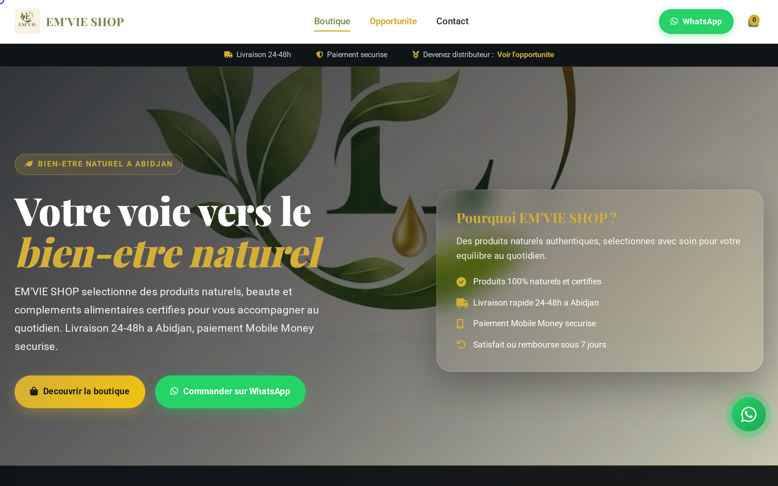 Exemple de site livré — Emvie Shop